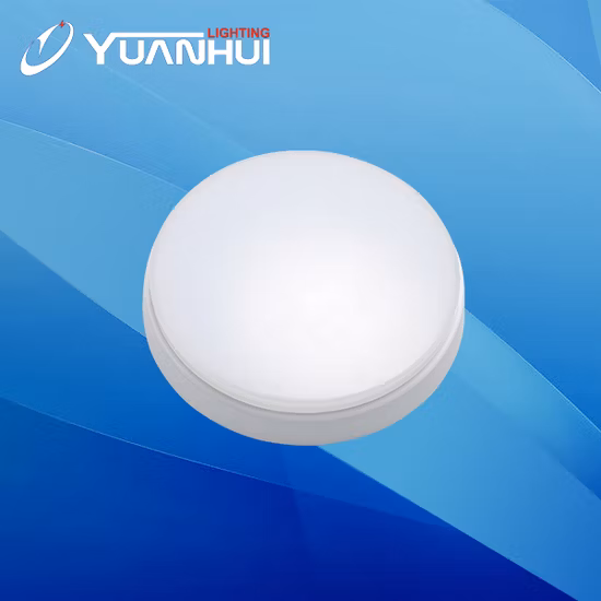 Customizable Security Emergency Light Yc01 LED Ceiling Lamp in China